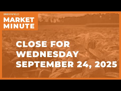 Cattle futures were lower at midweek | Closing Market Minute