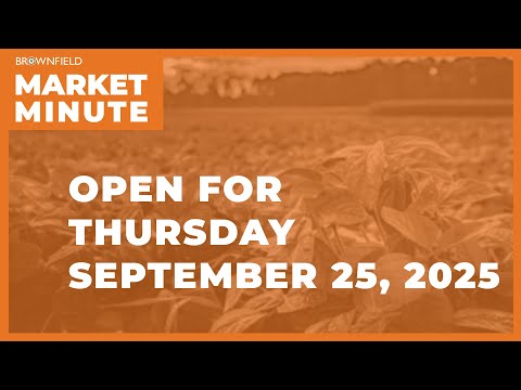 Cattle are lower Thursday morning | Opening Market Minute