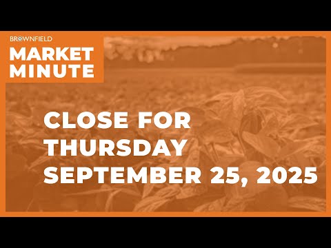 Cattle fell sharply Thursday | Closing Market Minute