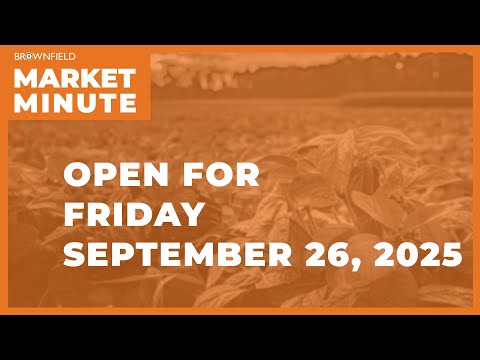 Cattle are lower Friday morning | Opening Market Minute