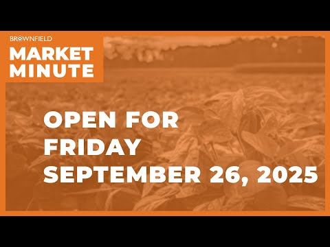 Cattle are lower Friday morning | Opening Market Minute cover art