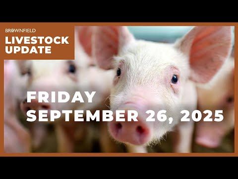 Cattle prices have decreased over $5 this week | Weekly Livestock Market Update cover art