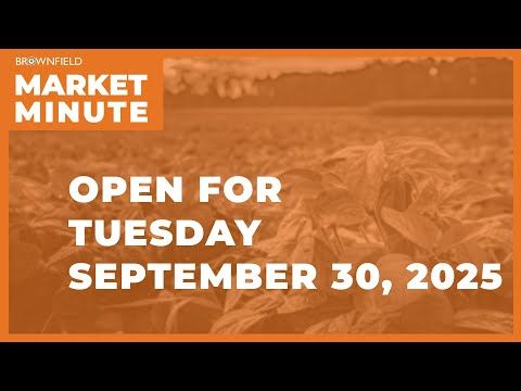 Cattle are lower Tuesday morning | Opening Market Minute cover art
