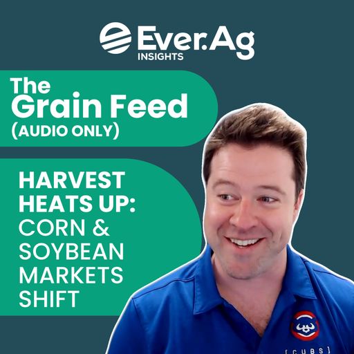 The Grain Feed (AUDIO ONLY) - Harvest Heats Up: Corn & Soybean Markets Shift - October 1, 2025 cover art