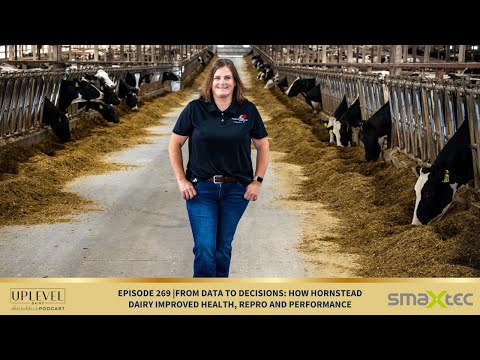 269 | From Data to Decisions: How Hornstead Dairy Improved Health, Repro and Performance