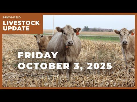 The government shutdown is affecting USDA operations and resources | Weekly Livestock Market Update cover art