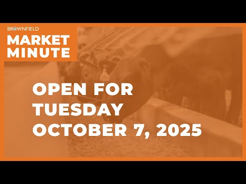 Soybeans are up Tuesday morning | Opening Market Minute