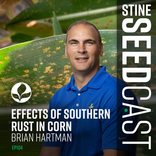 Effects of Southern Rust in Corn With Brian Hartman cover art