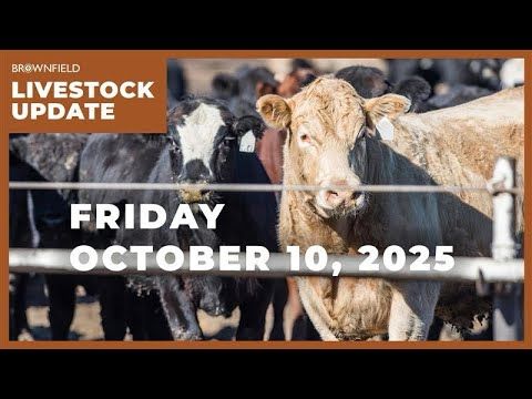 Cattle futures sharply higher this week | Weekly Livestock Market Update cover art