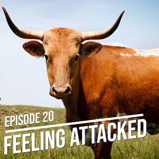 Episode 20 - Feeling Attacked - Boundaries, Bullying, and the Courage to Change Old Patterns cover art