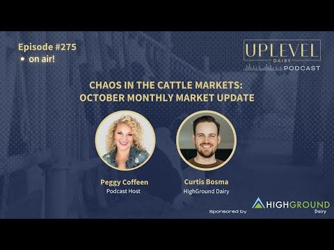275 | Chaos in the Cattle Markets: HighGround Dairy October Market Report cover art
