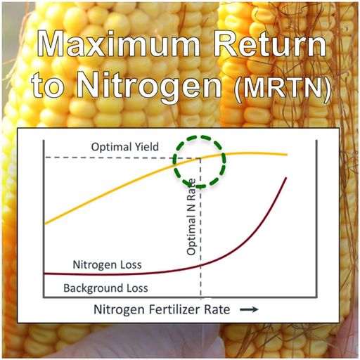 Updated corn nitrogen rates: Regional differences, profit vs yield, water quality & more cover art
