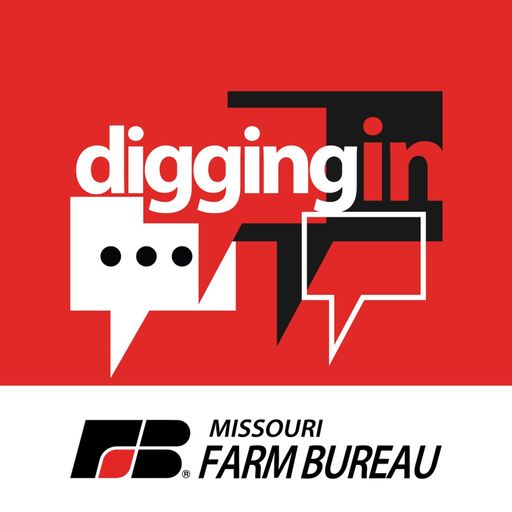 Digging Into Commodity Conference (Part 5) with Ted Schroeder cover art