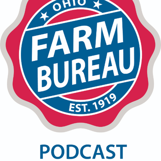 Investing in the Future cover art