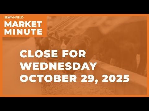 Cattle futures bounced at midweek | Closing Market Minute cover art