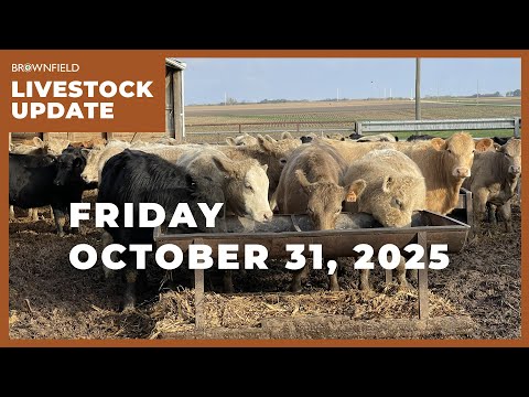 Feeder cattle futures down nearly $14 from last week | Weekly Livestock Market Update