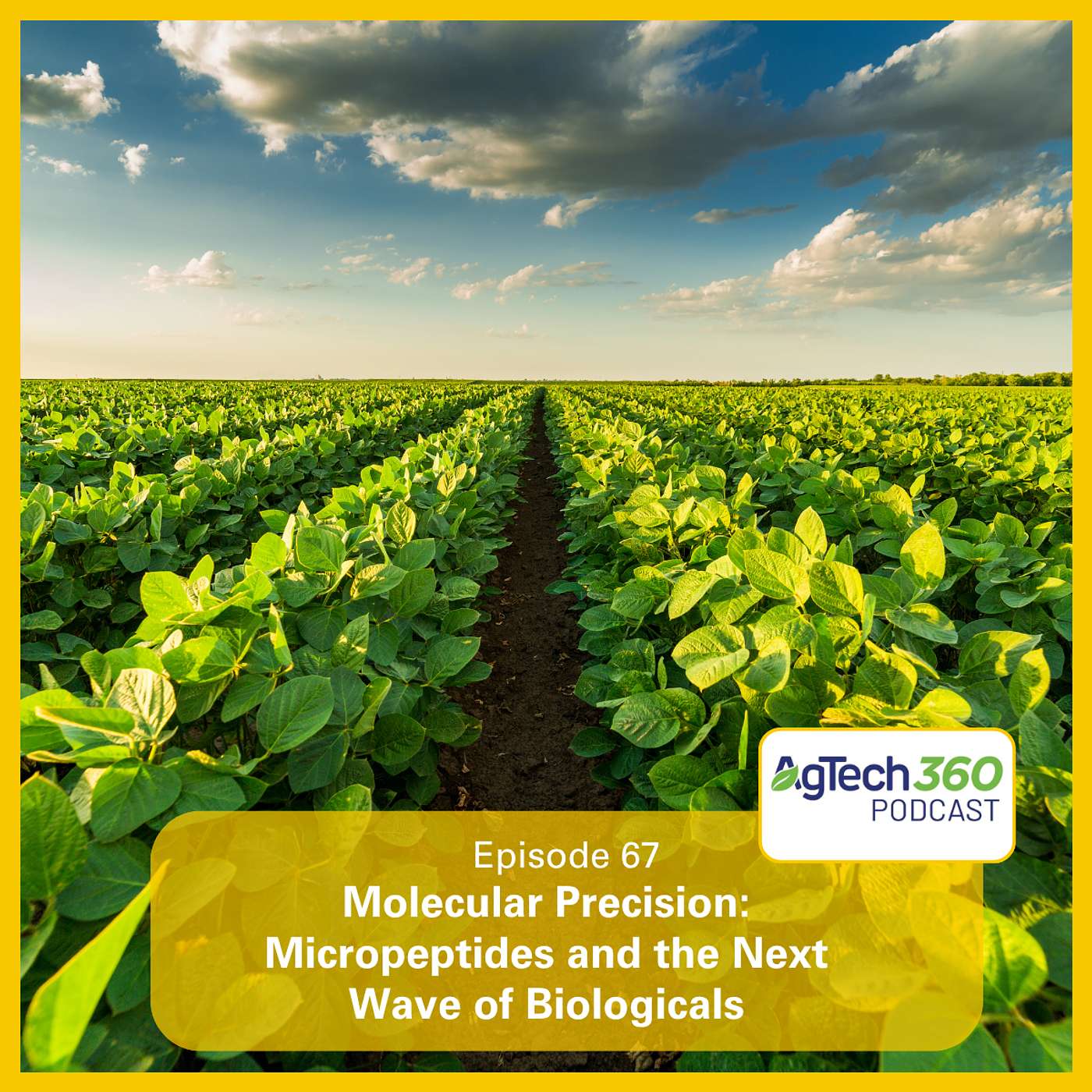 Molecular Precision: Micropeptides and the Next Wave of Biologicals cover art