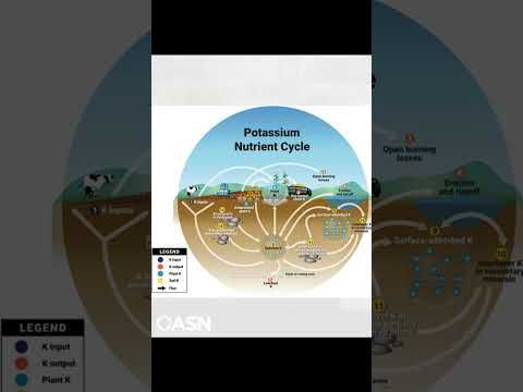 Potassium in High Clay Soils: Exploring the Haney Soil Test with Liz Haney cover art