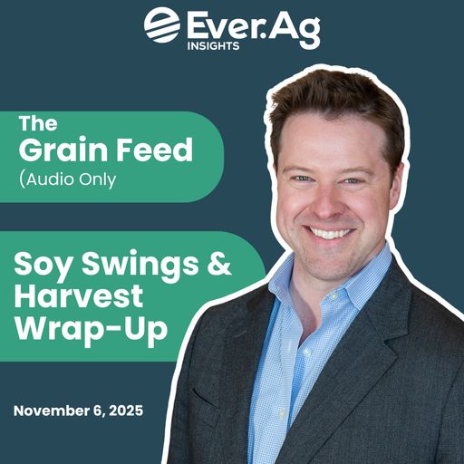 The Grain Feed (Audio Only) - Soy Swings & Harvest Wrap-Up cover art