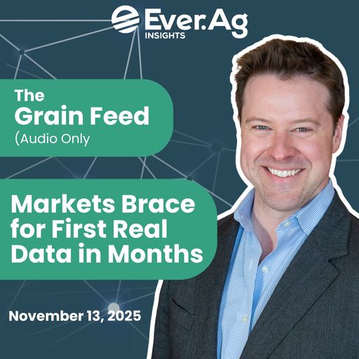 The Grain Feed (Audio Only) - Markets Brace for First Real Data in Months cover art