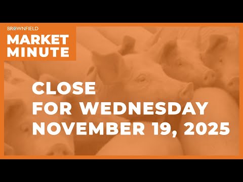 Cattle futures were sharply lower at midweek | Closing Market Minute