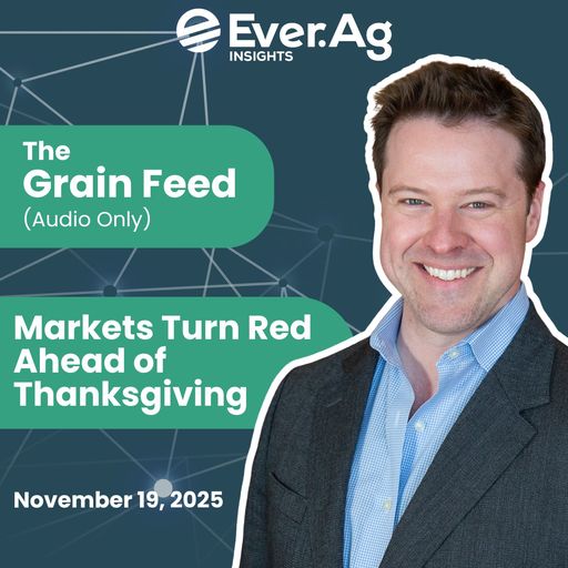 The Grain Feed (Audio Only): Markets Turn Red Ahead of Thanksgiving - November 19, 2025 cover art