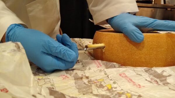 Global demand drives 28% surge in U.S. cheese exports, butterfat sales ...