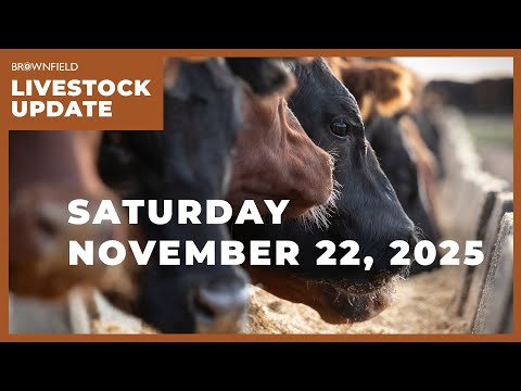Cattle on Feed down 2% on the year | Weekly Livestock Market Update