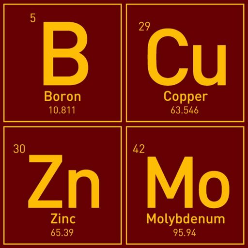Micronutrients: Current research, tissue sampling, toxicity symptoms & more cover art