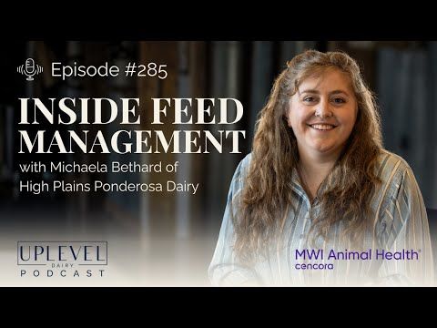 285 | Inside Feed Management on a Large-Scale Dairy: Michaela Bethard of High Plains Ponderosa cover art