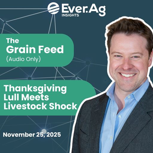 The Grain Feed (Audio Only): Thanksgiving Lull Meets Livestock Shock - November 25, 2025 cover art