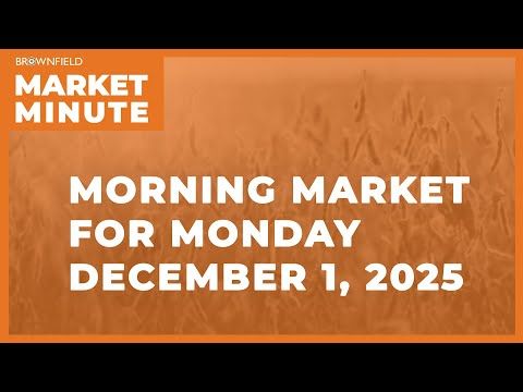 Soybeans were down modestly overnight | Morning Market Minute cover art