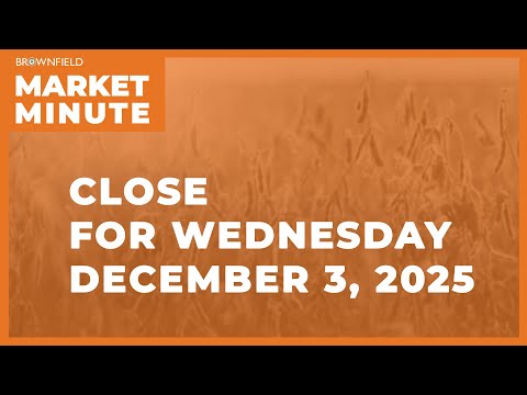 Cattle were higher at midweek | Closing Market Minute
