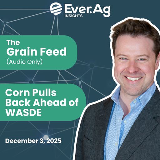 The Grain Feed (Audio Only): Corn Pulls Back Ahead of WASDE - December 3, 2025 cover art