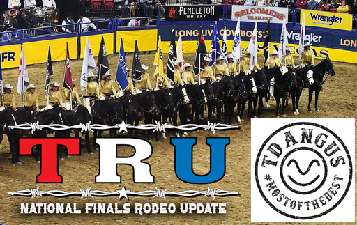 NFR Recap (Night 1, Dec 4) cover art