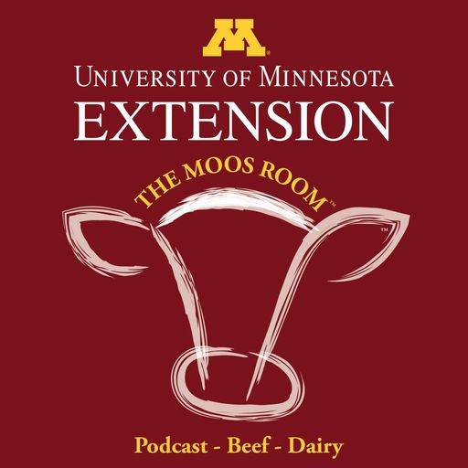 The Moos Room cover art