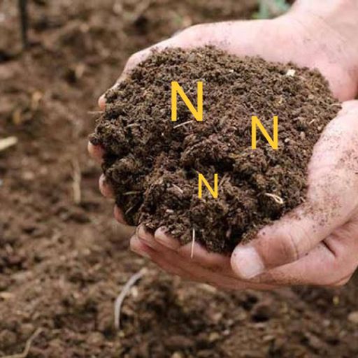 Biostimulants cover art