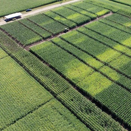 Nutrient management for irrigated crops in MN: Corn, potatoes, & edible beans cover art