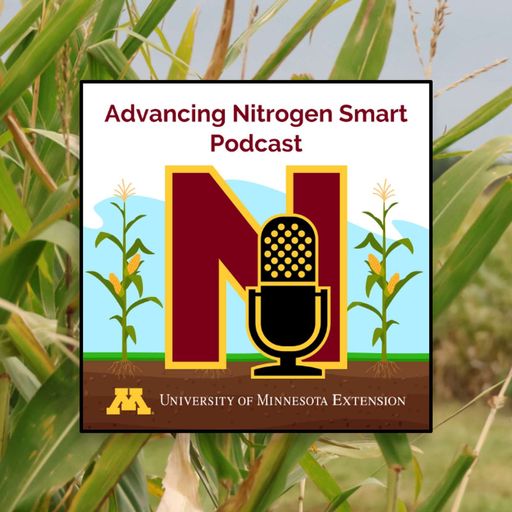 An introduction to MRTN: Efficiencies & economics in mind cover art