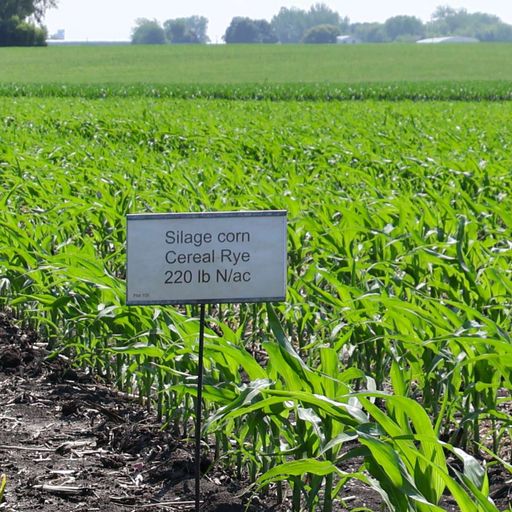 Conducting on-farm research: Four Midwest experts weigh in on design tips, planning and more cover art