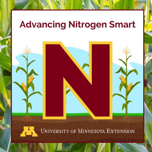 Nitrogen transformation up close: Key details for efficient fertilizer management cover art