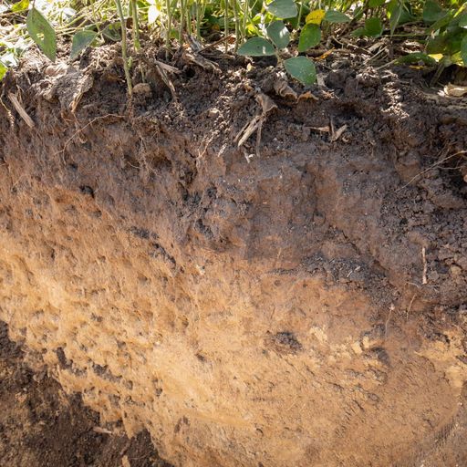 Measuring and building soil carbon cover art