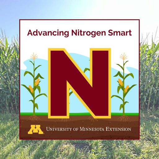 Timing nitrogen efficiently: How to maximize yield while mitigating risk cover art