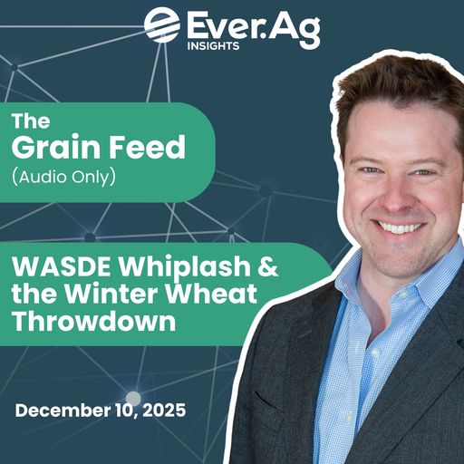 The Grain Feed (Audio Only): WASDE Whiplash & the Winter Wheat Throwdown - December 10, 2025 cover art