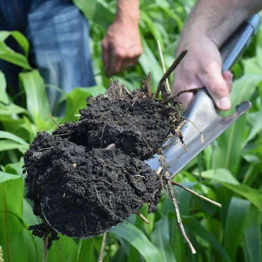 Carbon markets cover art