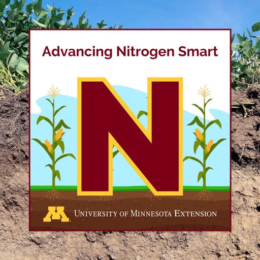 Nitrogen pools: Our experts talk timing, testing and uptake cover art