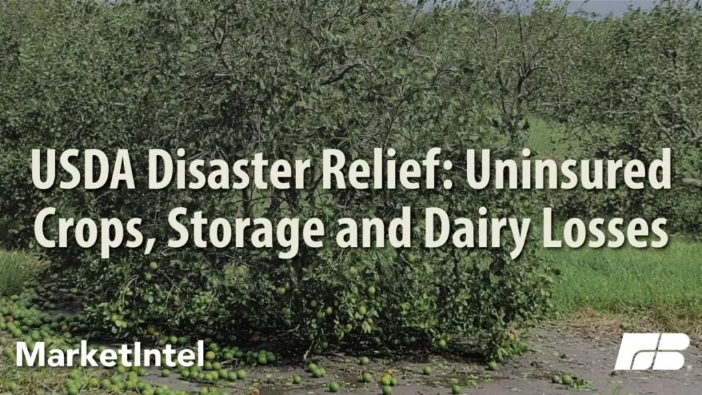 Understanding USDA’s New Natural Disaster Relief: Part 2 - AgriAmerica