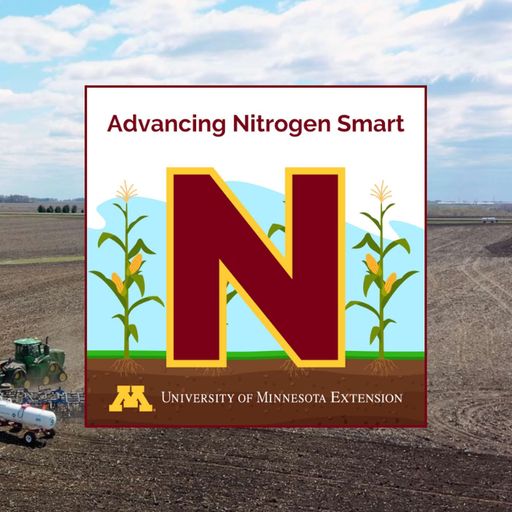 Nitrification inhibitors in detail: Important information to help delay N loss cover art