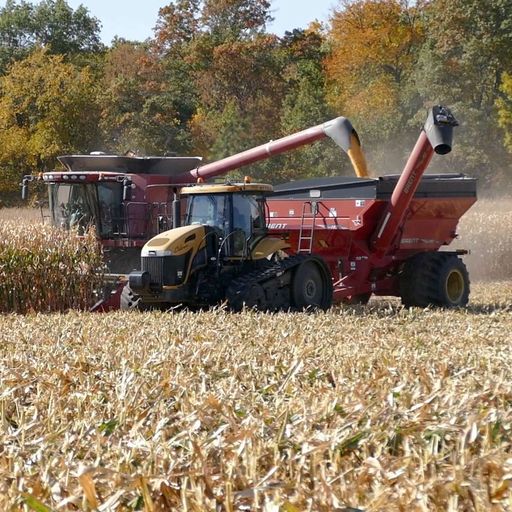 Fall fertilizer outlook for 2024: Current conditions, soil testing, and farmer finances cover art