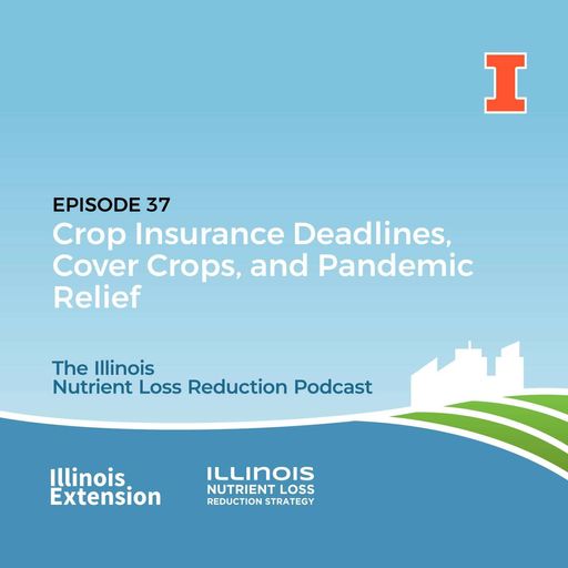 Episode 37 | Crop Insurance Deadlines, Cover Crops, and Pandemic Relief cover art